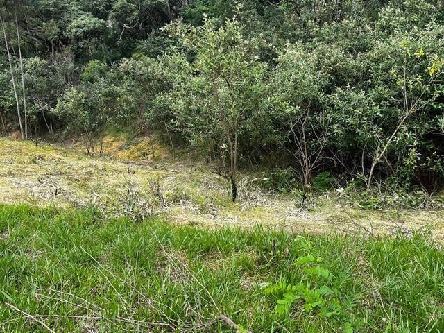 Terreno a venda Atibaia