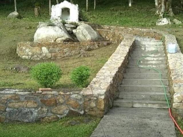 Sítio para Venda em Bom Jesus dos Perdões - 4